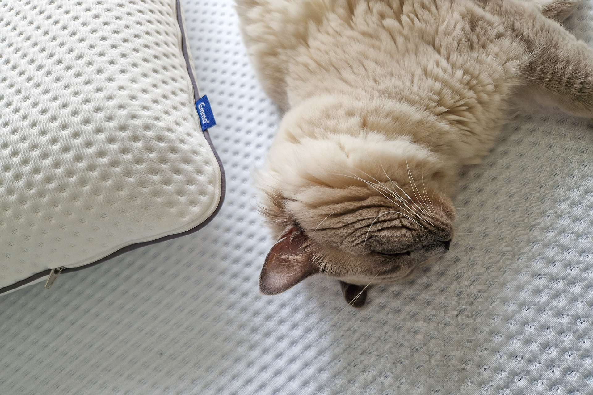 Emma Premium Foam Pillow