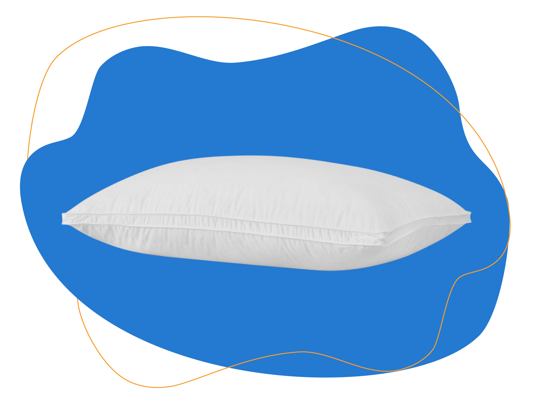 Feather & Black White Snow Duck Down & Feather Pillow