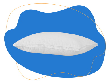 Feather & Black White Snow Duck Down & Feather Pillow