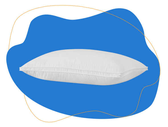 Feather & Black White Snow Duck Down & Feather Pillow