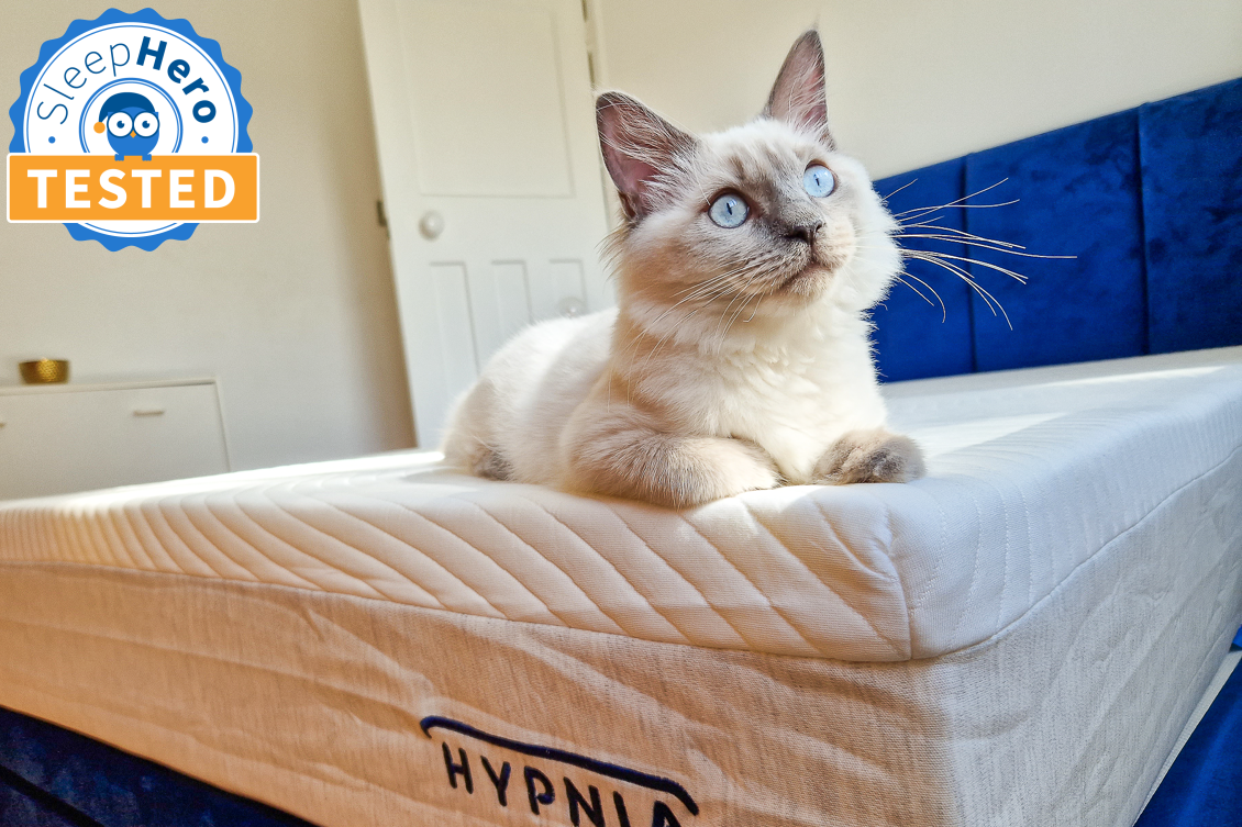 Cat sitting on Hypnia Hybrid mattress