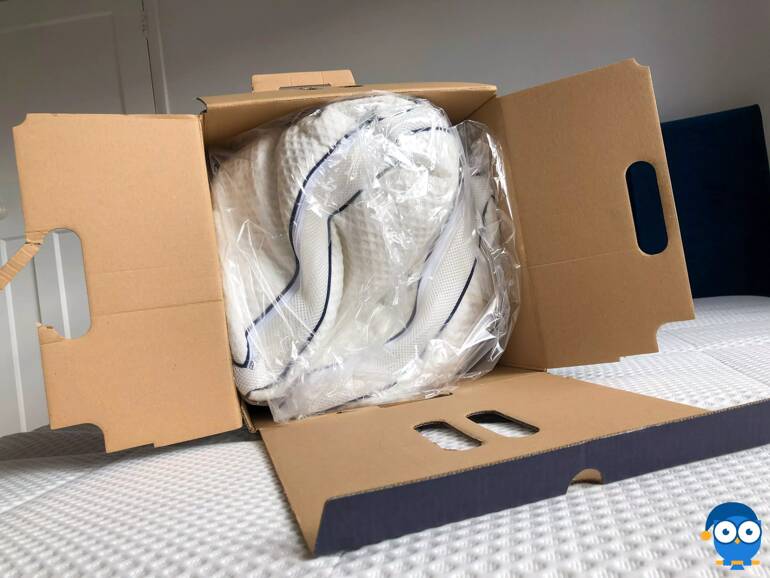 Dreamcloud pillows in box