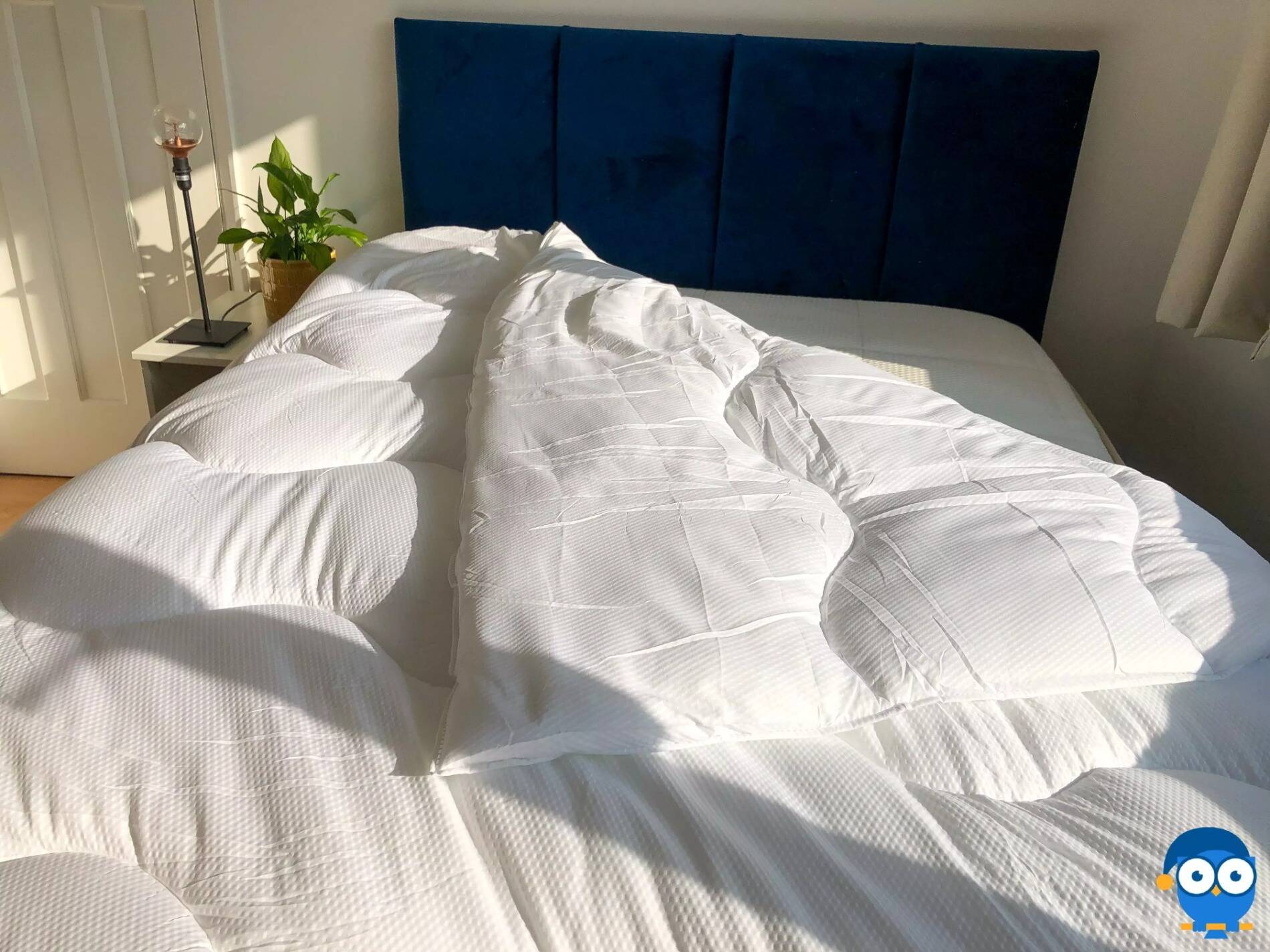 DreamCloud Duvet