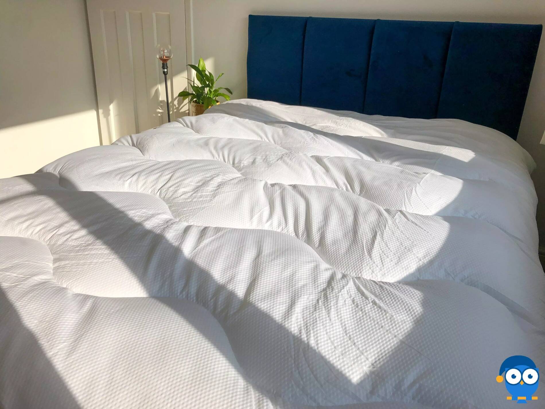 dream cloud comforter