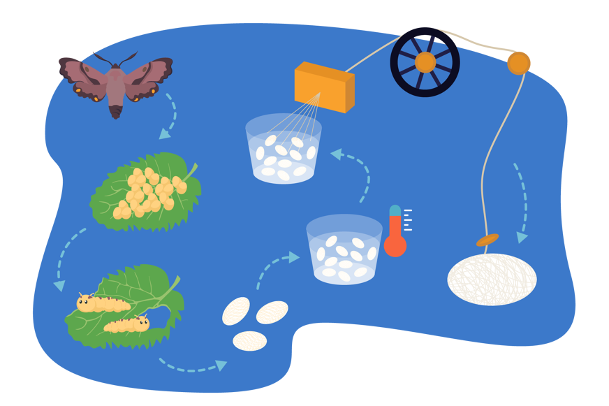 silk-making process