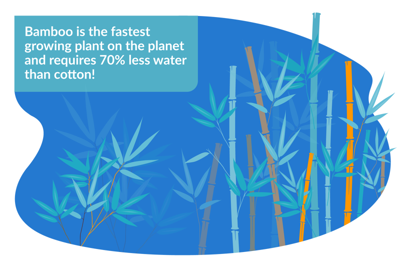 bamboo