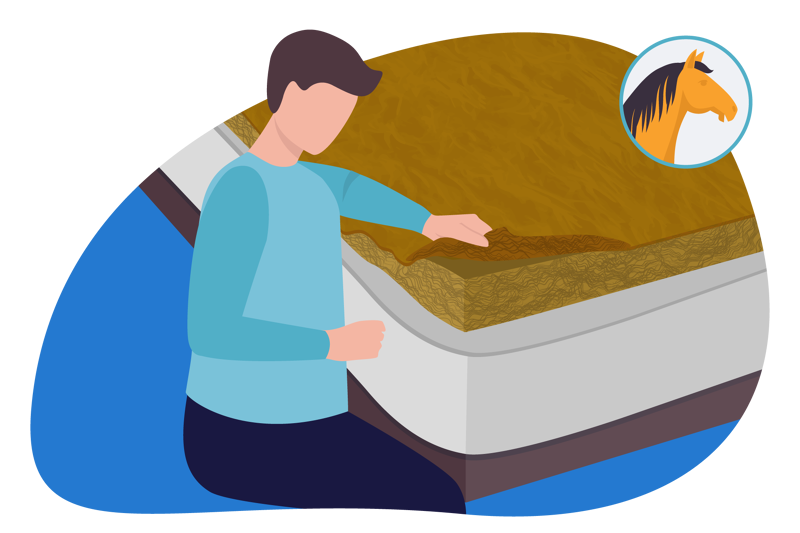 horse hair in a mattress