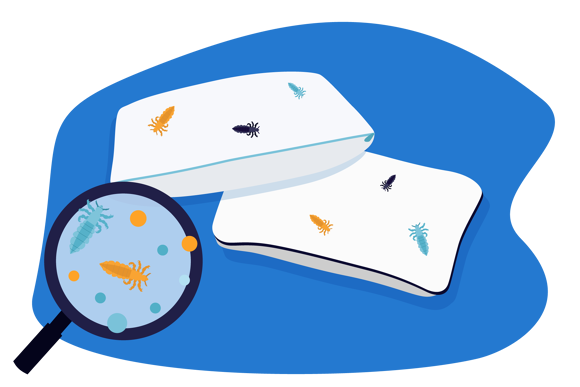 How Long Can Lice Live On Bedding?