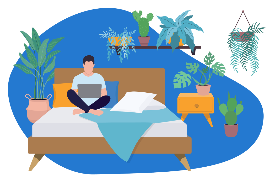 Best Plants For Your Bedroom