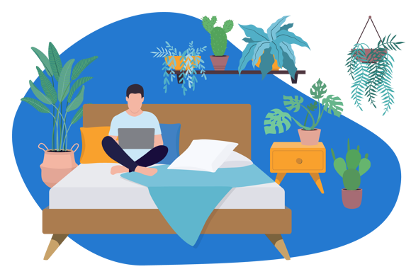 Best Plants For Your Bedroom