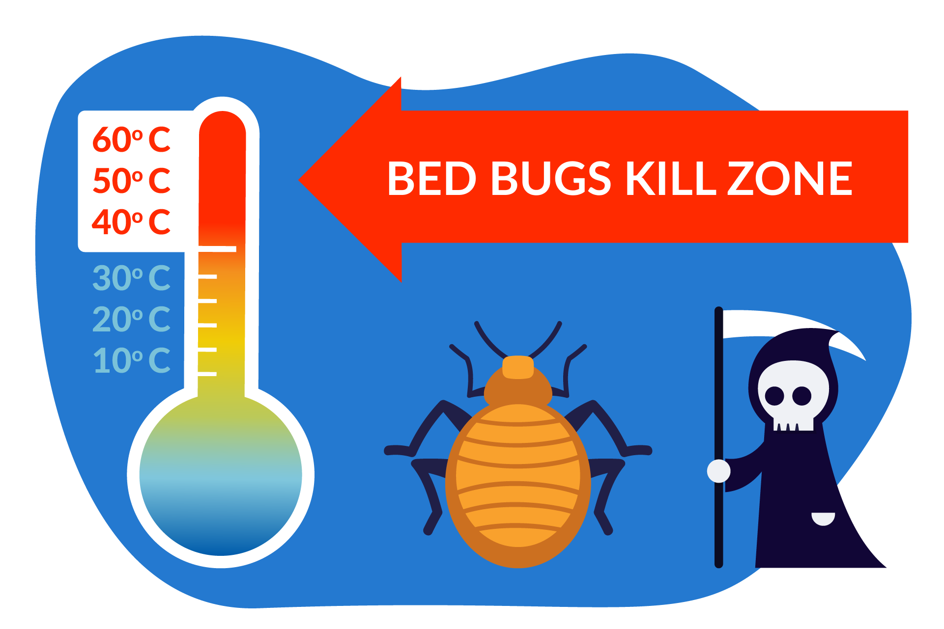 How To Get Rid Of Bed Bugs UK | 2026