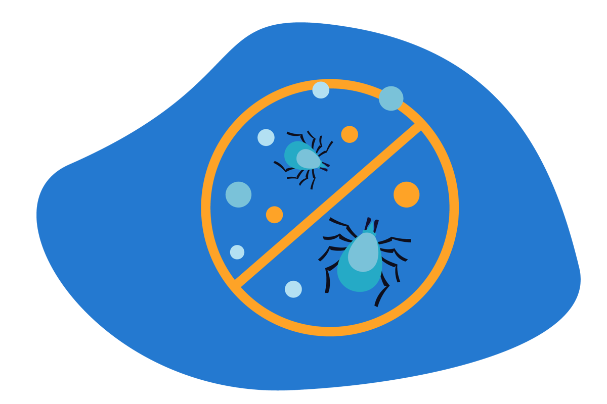 How To Get Rid Of Dust Mites