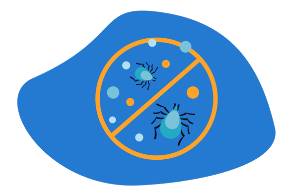 How To Get Rid Of Dust Mites