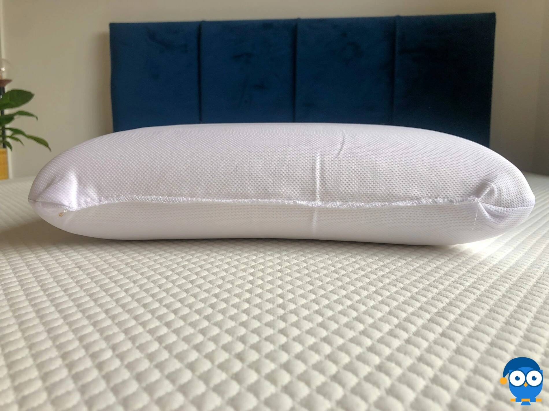 Memory Foam Pillow Nursery Pillows - Memory Foam / Nursery Pillows / Nursery Décor Peuter Kussen